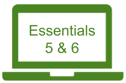 Essentials 5 & 6
